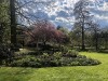210412_5130dxo1