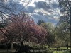 210412_5131dxo1