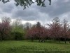 210412_5133dxo1