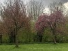 210412_5135dxo1