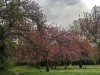 210412_5138dxo1