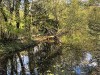 210417_5181dxo1