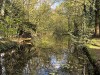 210417_5183dxo1