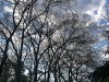 210417_5184dxo1