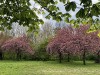 210418_5190dxo1