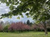 210418_5193dxo1