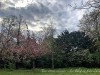 210418_5194dxo1