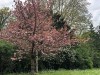 210418_5196dxo1