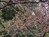 210418_5197dxo1