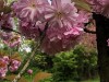 210418_5200dxo1