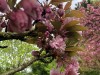 210418_5202dxo1