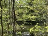 210421_5220dxo1