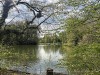 210421_5222dxo1
