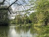 210421_5223dxo1