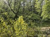 210421_5226dxo1