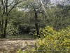 210421_5230dxo1