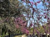 210422_5238dxo1