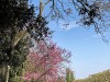210422_5239dxo1