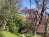 210422_5240dxo1