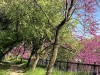 210422_5242dxo1