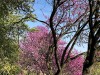 210422_5243dxo1
