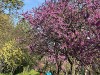 210422_5244dxo1