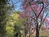 210422_5245dxo1