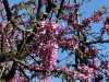 210422_5246dxo1