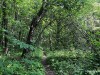 210430_5263dxo1