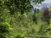 210430_5267dxo1