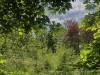 210430_5269dxo1