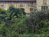 210503_5287dxo1