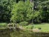 210504_5296dxo1