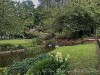 210504_5300dxo1
