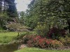210504_5302dxo1