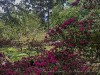 210504_5304dxo1