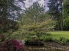 210504_5306dxo1