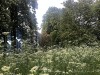210513_5337dxo1