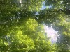 210513_5346dxo1