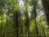 210513_5348dxo1