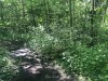 210513_5349dxo1