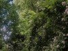 210517_5439dxo1