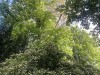 210517_5441dxo1