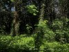 210517_5446dxo1