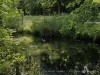 210517_5473dxo1