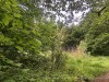 210520_5480dxo1