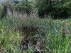 210520_5483dxo1