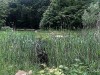 210520_5484dxo1