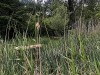 210520_5486dxo1