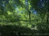 210531_5625dxo1